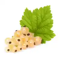 currant1