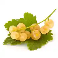 currant1