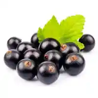 currant5