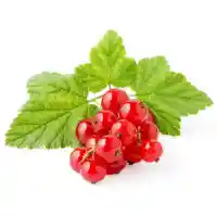 currant3